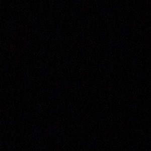 Meet your Posher, Bree